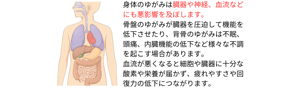 身体のゆがみは臓器や神経、血流にも悪影響を及ぼす